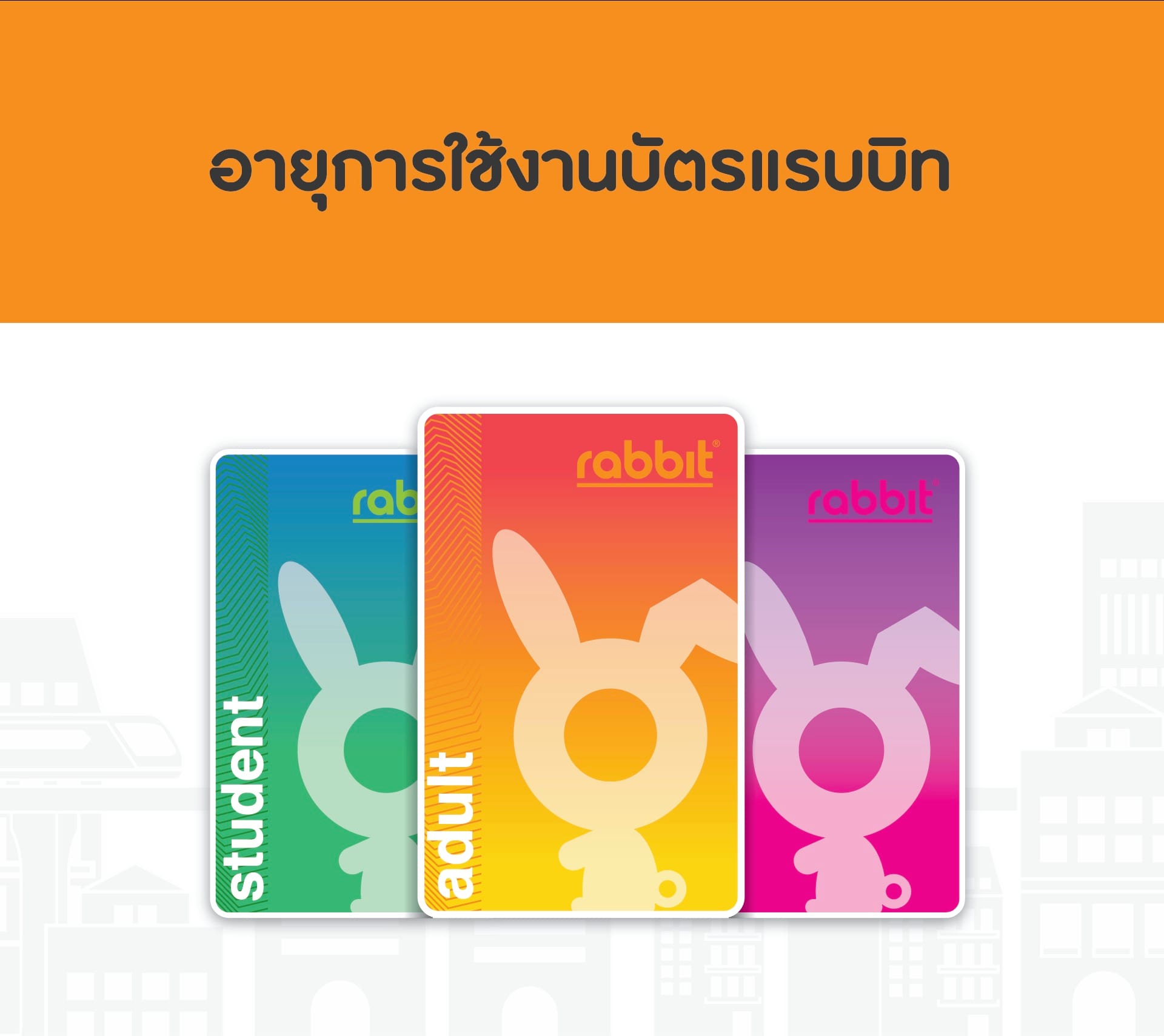 อายุการใช้งานบัตรแรบบิท